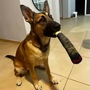 Baseado de Cachorro (Brinquedo)
