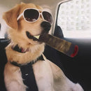 Baseado de Cachorro (Brinquedo)