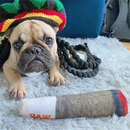 Baseado de Cachorro (Brinquedo)